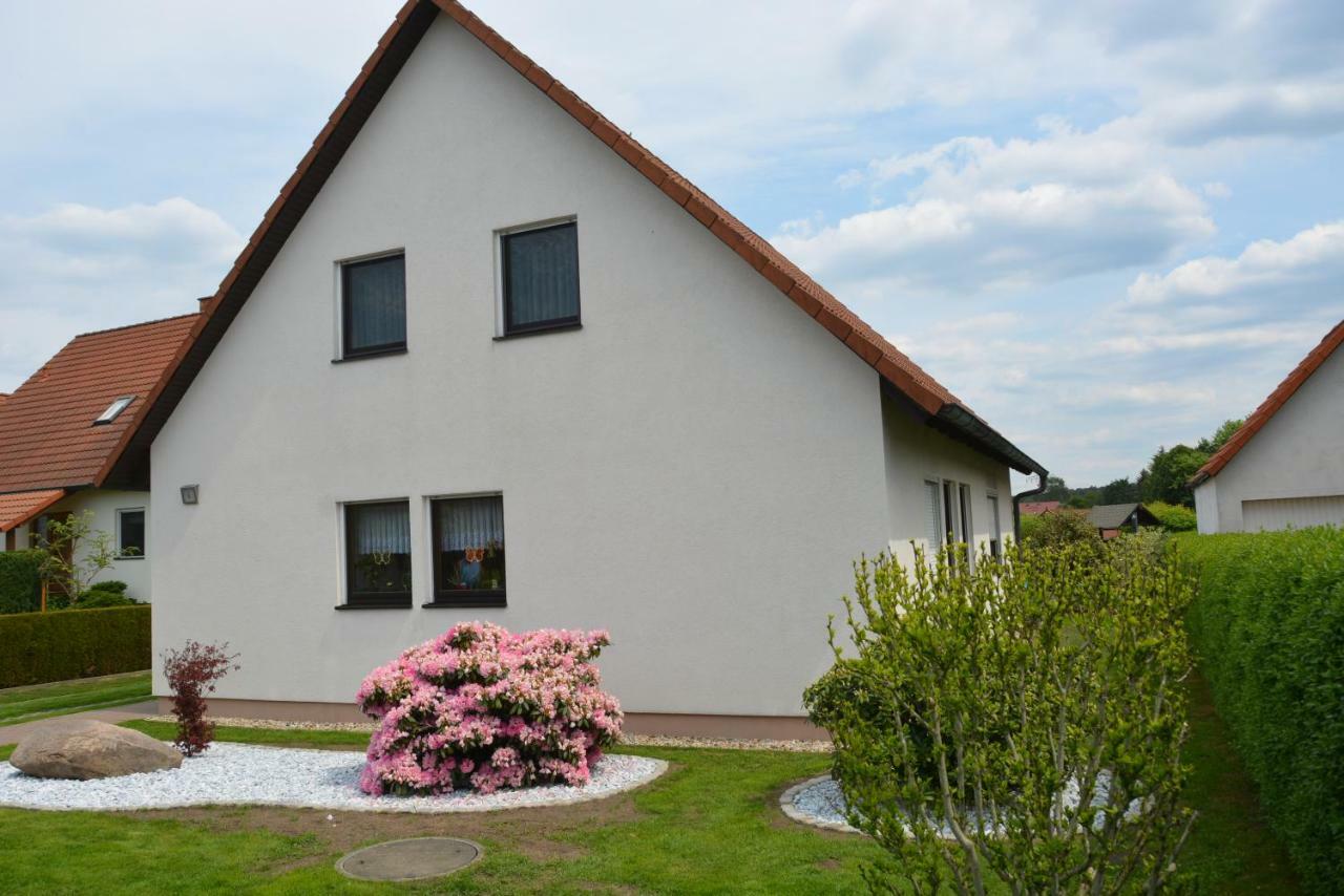 Ferienwohnung Starke Gablenz エクステリア 写真